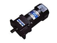 ���ͥ���ٵ������